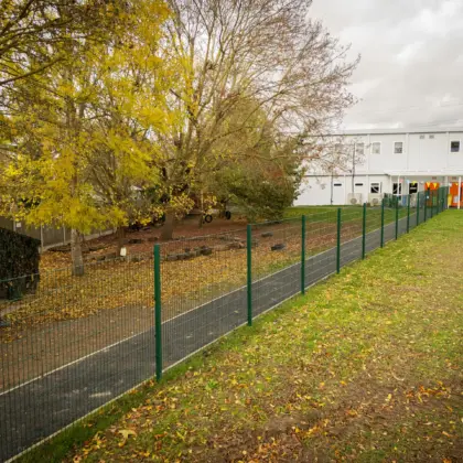 Woodville green fencing